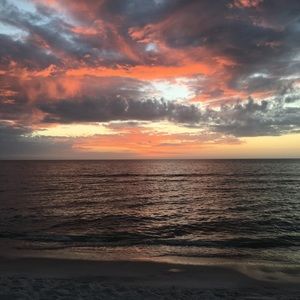 Meet your Posher, Carol